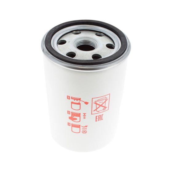 Fuel Filter (BF719) for Lombardini LDA 674 Engine