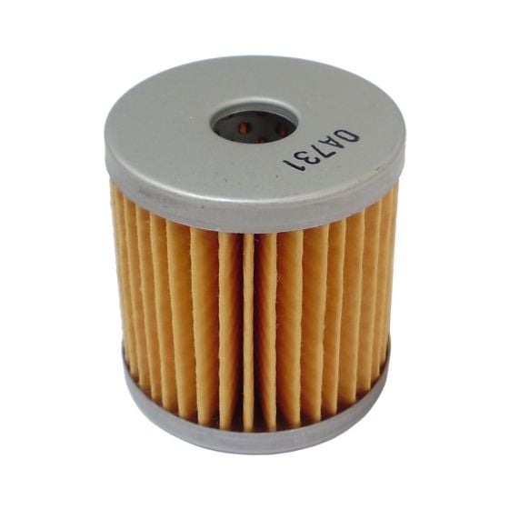 Fuel Filter, Cartridge Type fits Lombardini