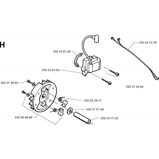 Ignition System Assembly for Husqvarna MONDO Edger