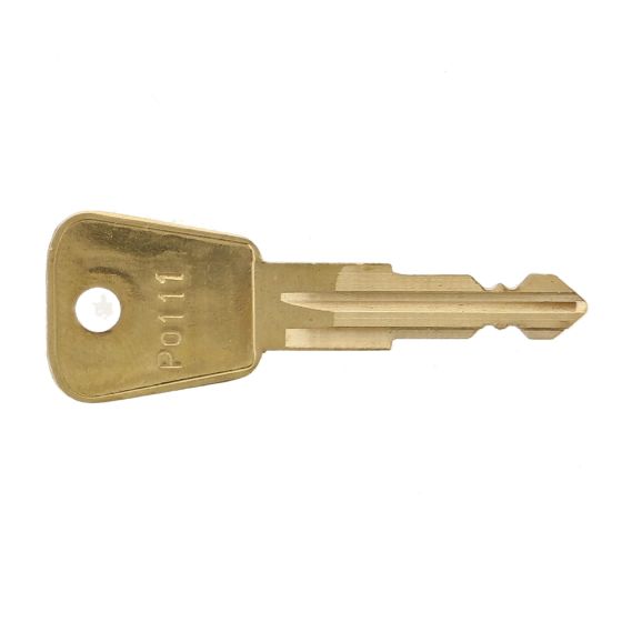 P0111 Replacement Plant Key