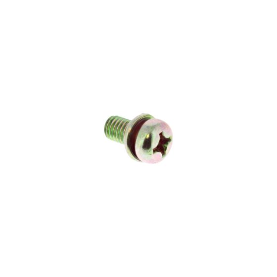 Screw & Washer for Robin DY23, DY27 Engine - OEM No. 004-35061-20