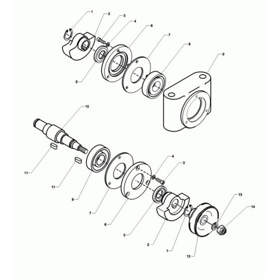 Exciter Assembly for Wacker