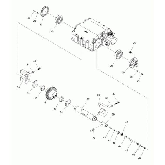 Exciter Assembly for Wacker