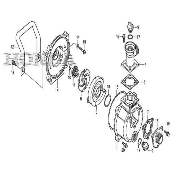 Honda WX10 Water Pump Assembly