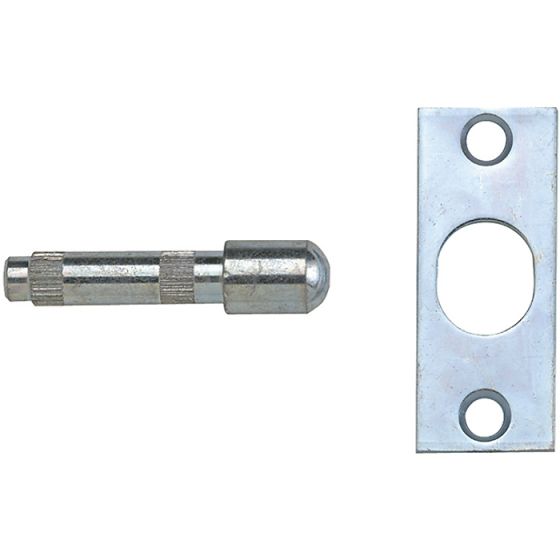 P125 Hinge Bolts