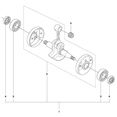 Crankshaft Assembly for 555FX