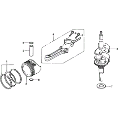 Crankshaft & Piston Assembly