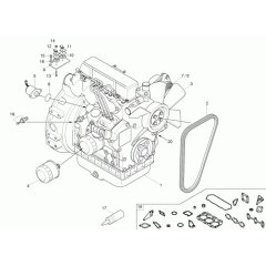 Engine Assembly for Neuson 1001