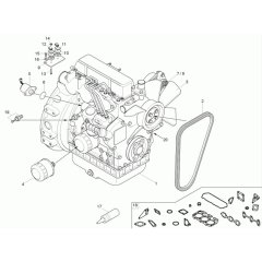 Engine Assembly for Neuson 1501