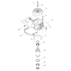 Motor Head Assembly
