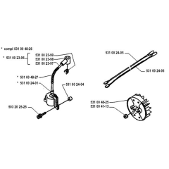 Ignition System for Husqvarna 122L