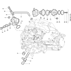 Fuel Feed Pump Assembly