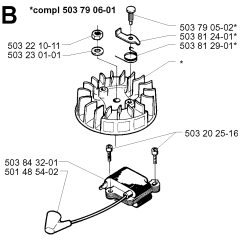 Ignition System for Husqvarna 225B