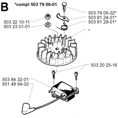 Ignition System for Husqvarna 225HBV