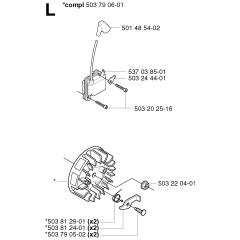 Ignition System for Husqvarna 227R