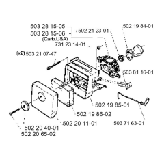 Carburetor & Air Filter