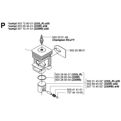 Cylinder Piston Assembly