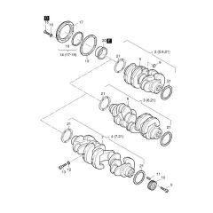 Crankshaft Assembly for Hatz 2L40