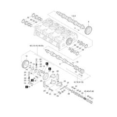 Camshaft, Governor Assembly