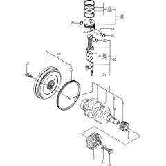 Crankshaft & Piston Assembly