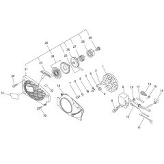 Recoil Starter & Magneto