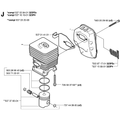 Cylinder, Piston & Muffler Assembly