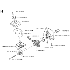 Carburetor & Air Filter Assembly