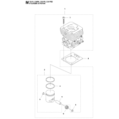 Cylinder Piston Assembly