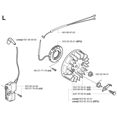 Ignition System for Husqvarna 351