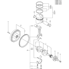 Crankshaft & Piston Assembly