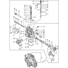 Fuel Injection Pump Assembly
