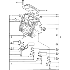 Cylinder Block Assembly