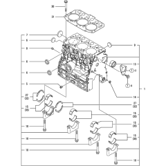 Cylinder Block Assembly