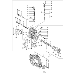Fuel Injection Pump Assembly