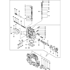 Fuel Injection Pump Assembly