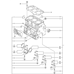 Cylinder Block Assembly