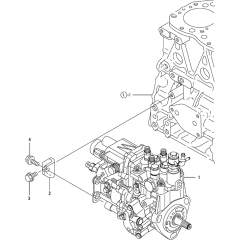 Fuel Injection Pump Assembly