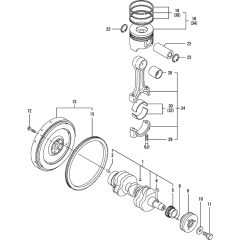 Crankshaft & Piston Assembly