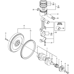Crankshaft & Piston Assembly