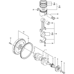 Crankshaft & Piston Assembly