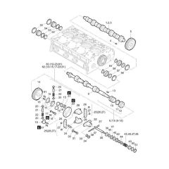 Camshaft, Governor Assembly