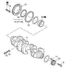 Crankshaft Assembly for Hatz 4L42C
