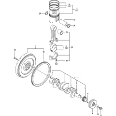 Crankshaft & Piston Assembly