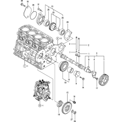 Camshaft & Gear Assembly
