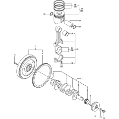 Crankshaft & Piston Assembly