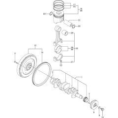 Crankshaft & Piston Assembly