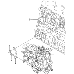 Fuel Injection Pump Assembly