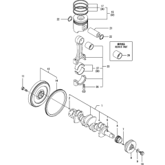 Crankshaft & Piston Assembly
