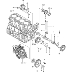 Camshaft & Gear Assembly