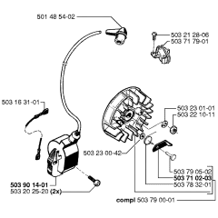 Ignition System for Husqvarna 51